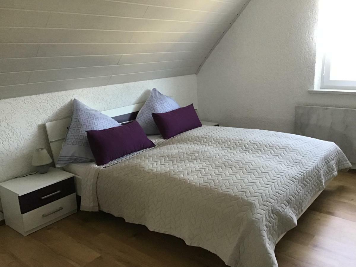 Ferienwohnung Elina Maxhutte-Haidhof Extérieur photo