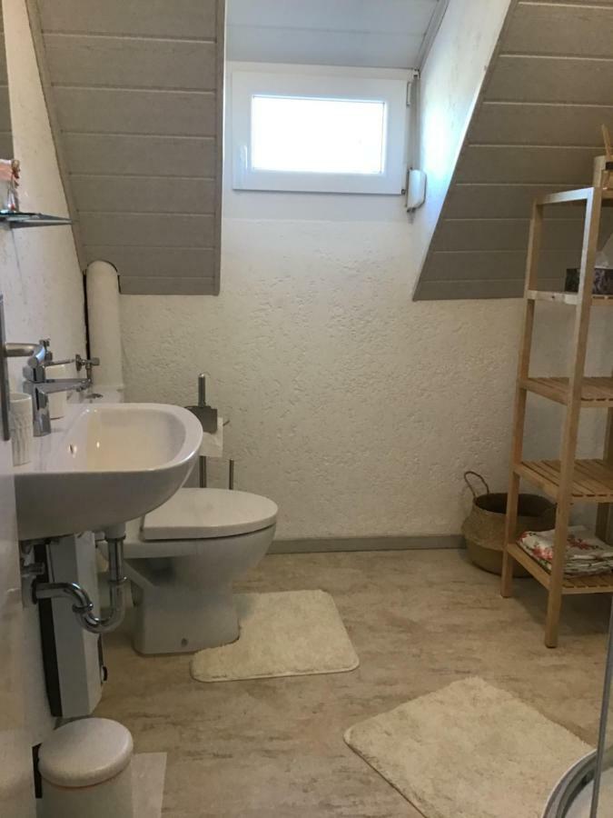 Ferienwohnung Elina Maxhutte-Haidhof Extérieur photo